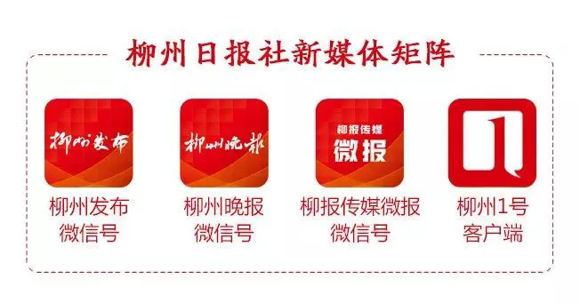 篮球协调训练的成功案例分析_1